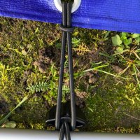 Эластичный шнур 10 шт